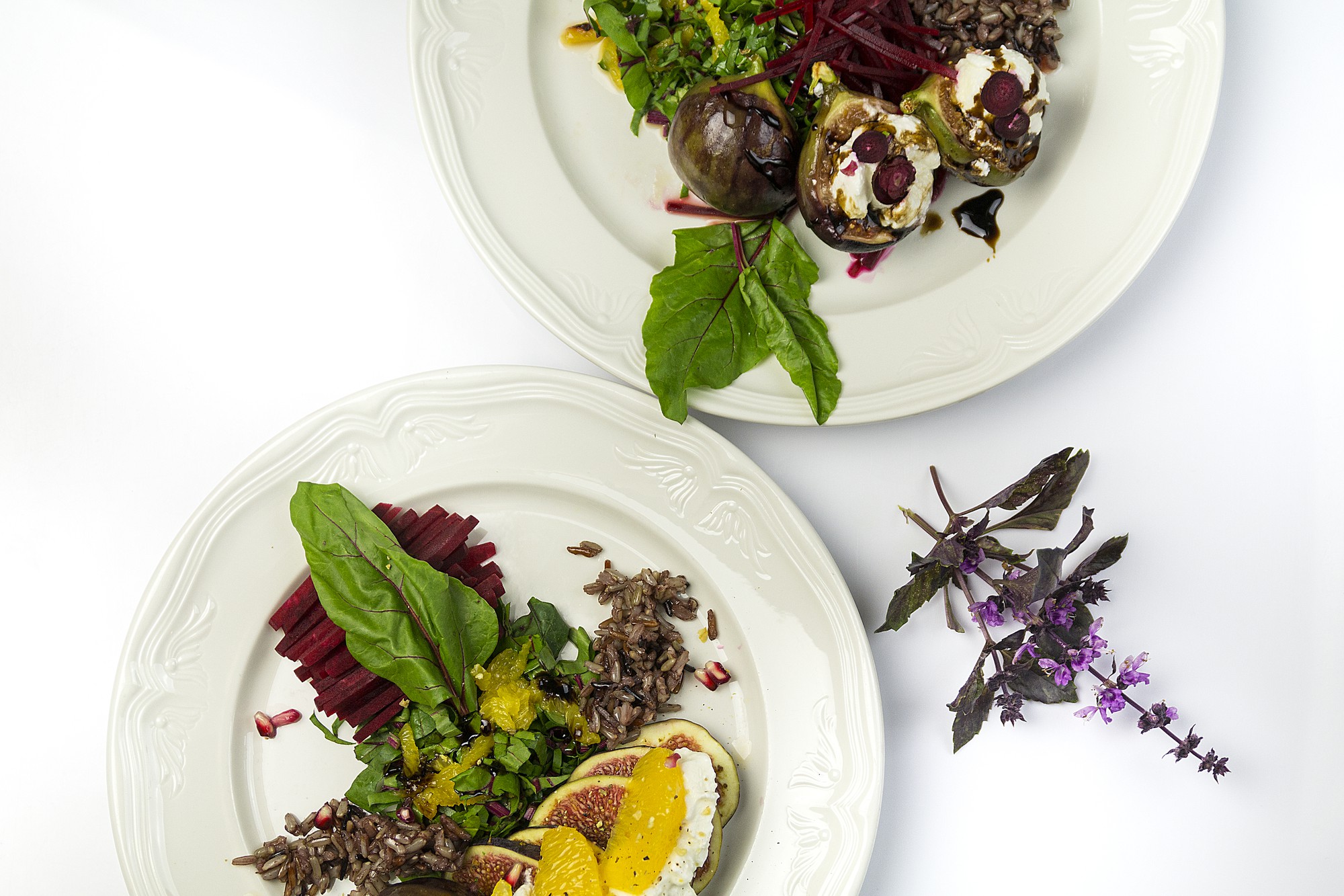 Close-up plated starter with herbs